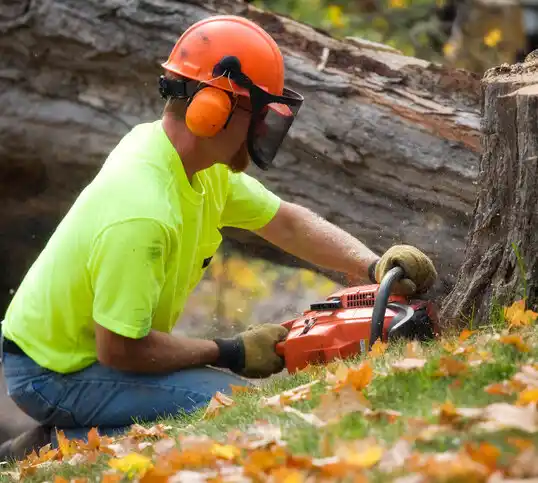 tree services Billings